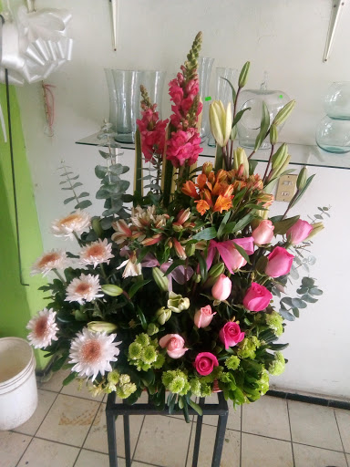 Florería San Antonio – Zapotlanejo