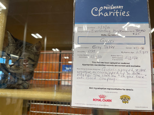Pet Supply Store «PetSmart», reviews and photos, 450 Fairview Ave, Hudson, NY 12534, USA