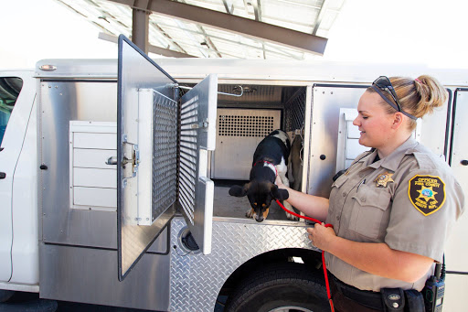 Pima Animal Care Center (Animal Shelter)