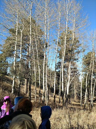 Natural History Museum «Denver Museum of Nature & Science», reviews and photos, 2001 Colorado Blvd, Denver, CO 80205, USA