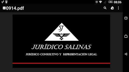 Juridico Salinas y asociads