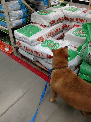 Home Improvement Store «Tractor Supply Co.», reviews and photos, 575 N Lapeer Rd, Oxford, MI 48371, USA