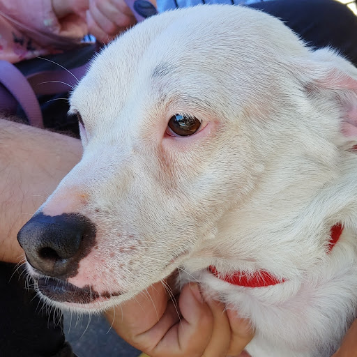 Beauty Salon «Mane Attraction Salon», reviews and photos, 3156 E Camelback Rd, Phoenix, AZ 85018, USA