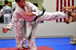 New Orleans Karate Institute, Inc. image