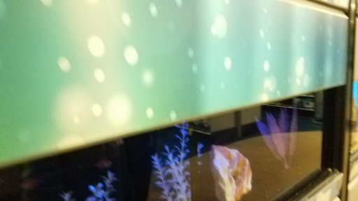 Pet Supply Store «Petco Animal Supplies», reviews and photos, 5027 Monroe St, Toledo, OH 43623, USA