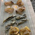 Photo n°5 de l'avis de Giovanni.a fait le 02/08/2023 à 20:36 sur le  La Perla Nera Ristorante / Pub à Scilla