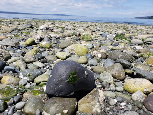 Park «Carkeek Park», reviews and photos, 950 NW Carkeek Park Rd, Seattle, WA 98177, USA