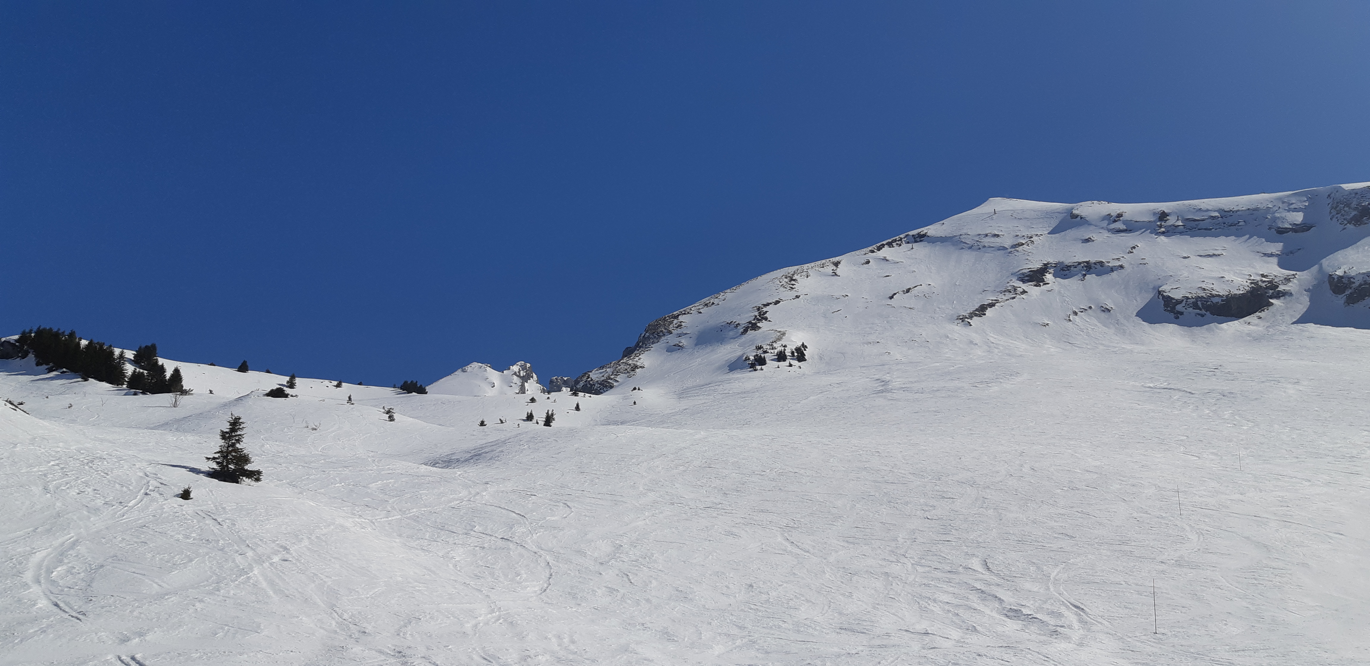 Photo n° 3 de l'avis de Émilie.r fait le 01/04/2019 à 17:42