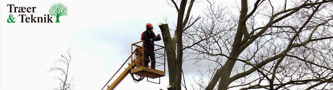 Træer & Teknik - Anlægsgartner