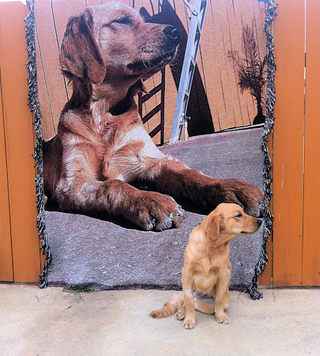 Gift Shop «The Memories Place», reviews and photos, 148 Westville Dr, Conway, SC 29526, USA