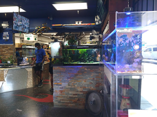Tropical Fish Store «Aquarium Depot», reviews and photos, 8201 Auburn Blvd, Citrus Heights, CA 95610, USA