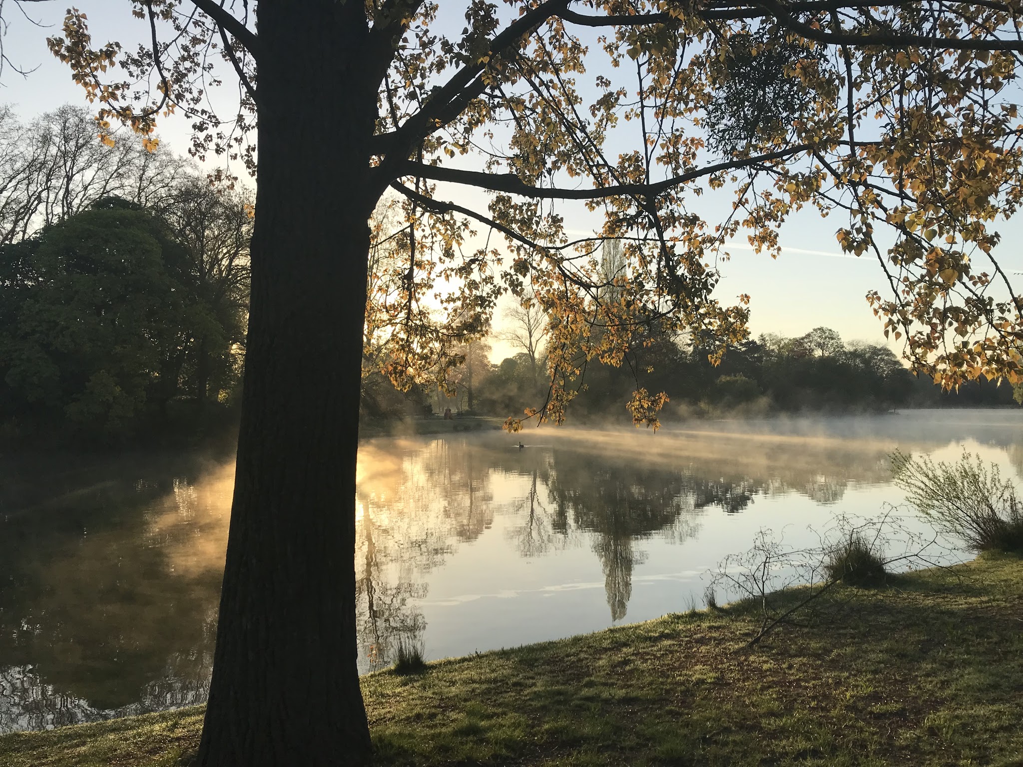 Photo n° 4 de l'avis de Luis.a fait le 10/05/2018 à 17:16