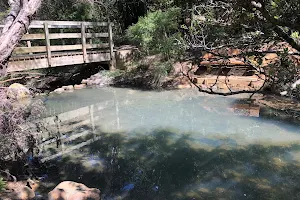 Kaitoke Hot Springs image