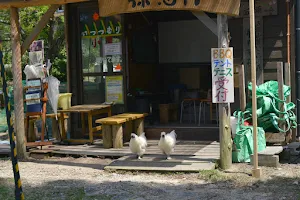 Forest Gozusan foot rest image