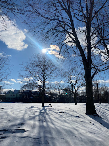 Park «Raymond Park», reviews and photos, Raymond St, Cambridge, MA 02140, USA