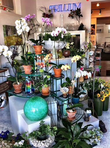 Florist «Trillium», reviews and photos, 41 Rittenhouse Pl, Ardmore, PA 19003, USA