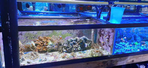 Pet Store «Aquarium & Reef Center», reviews and photos, 231 Del Prado Blvd, Cape Coral, FL 33990, USA