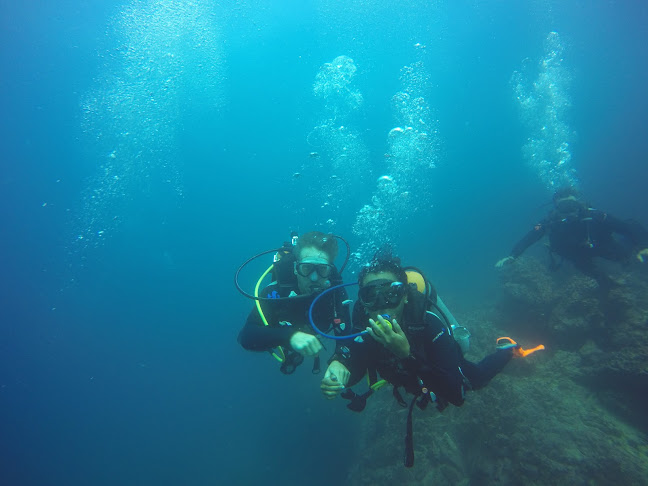 Opiniones de Eagleray Tours Galapagos Diving en Puerto Ayora - Agencia de viajes