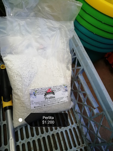 Vivero jardín Las flores de la yuyito - Centro de jardinería