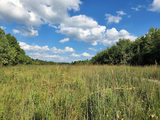 Nature Preserve «For-Mar Nature Preserve & Arboretum», reviews and photos, 2142 N Genesee Rd, Burton, MI 48509, USA