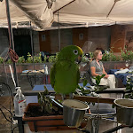 Photo n°10 de l'avis de Giuseppe.o fait le 21/07/2022 à 17:38 sur le  VostrOsteria Roma à Rome