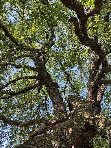 Park «Holmes Park», reviews and photos, Twin Lake Rd, Greenville, SC 29609, USA