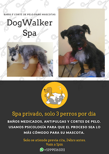 DogWalker Spa - Peluquería