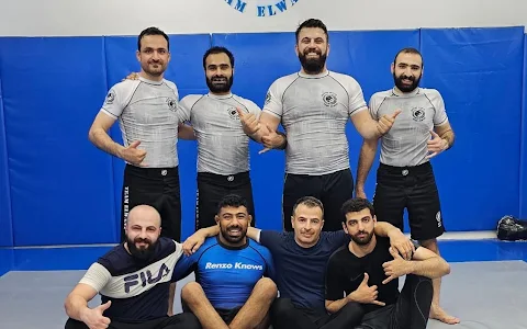 Renzo Gracie Team Elwany image