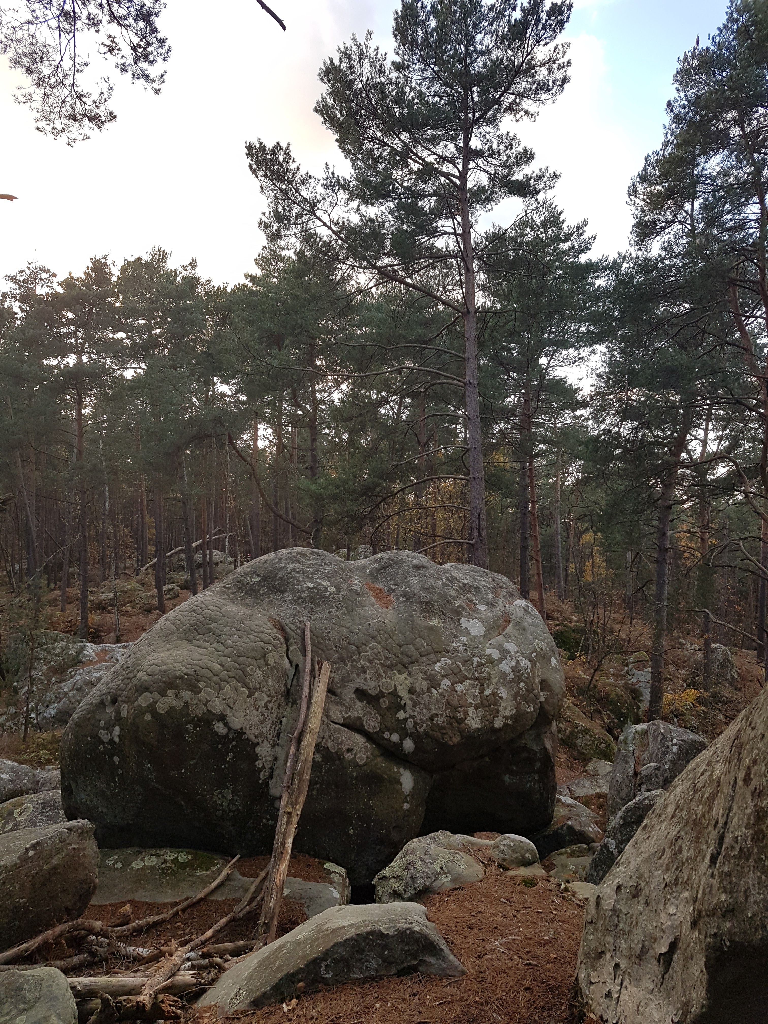 Photo n° 3 de l'avis de Denis.i fait le 26/11/2023 à 16:15