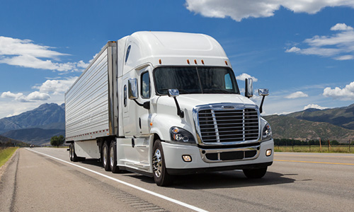 Trans-Logistics Management Services Inc.