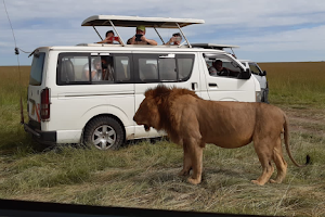 Karibu Safaris in Kenya image