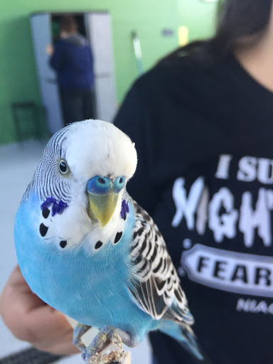 Educational Institution «Institute For Marine Mammal Studies», reviews and photos, 10801 Dolphin Ln, Gulfport, MS 39503, USA