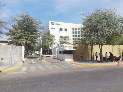 Coppel Sucursal Corporativo