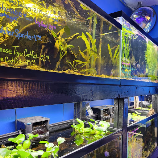 Pet Store «Coral Reef Pet Center», reviews and photos, 7723 W Lawrence Ave, Norridge, IL 60706, USA