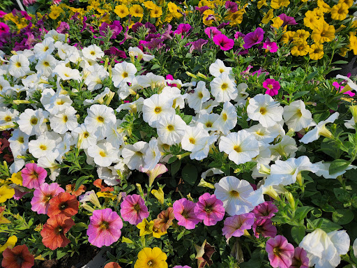 Home Improvement Store «The Home Depot», reviews and photos, 128 Bulverde Crossing, Bulverde, TX 78163, USA