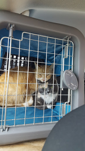 Thrift Store «Goodwill Industries McHenry», reviews and photos, 2006 N Richmond Rd, McHenry, IL 60051, USA