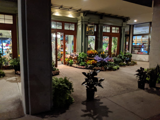 Florist «Fern by Boston Rose Florist», reviews and photos, 225 Massachusetts Ave, Boston, MA 02115, USA