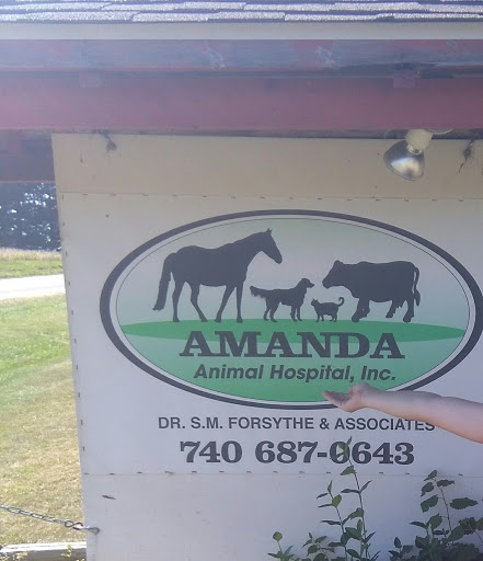 Amanda Animal Hospital, Inc. image 4