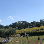 Photo n°3 de l'avis de Licia.a fait le 08/08/2023 à 22:02 sur le  Tenuta Il Giogo à Monterado