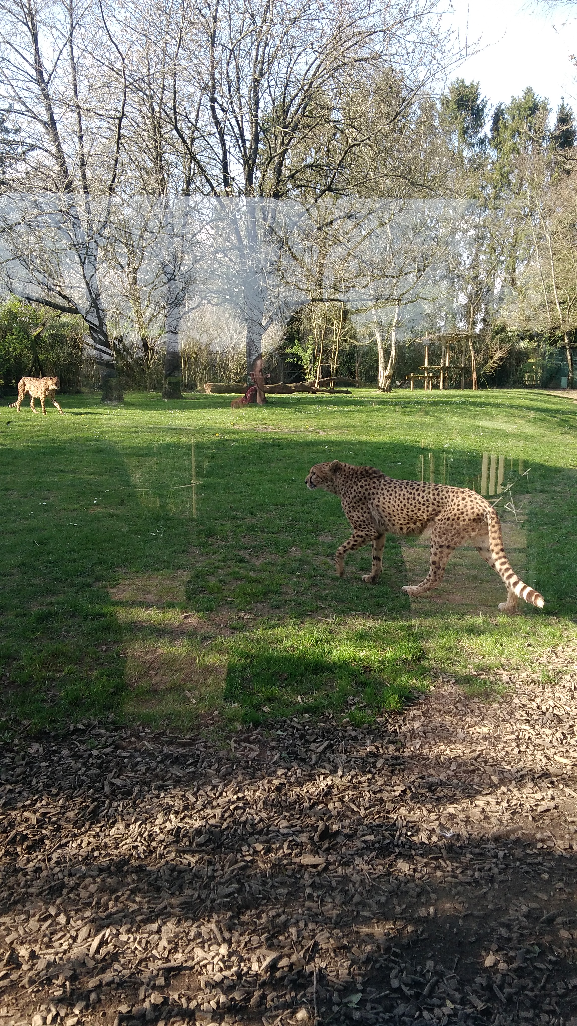 Photo n° 1 de l'avis de kelly. fait le 31/03/2019 à 09:58