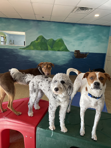Adventure Pet Resort