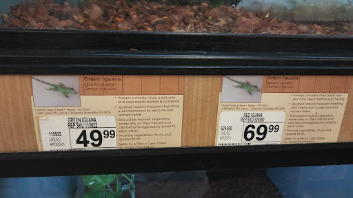 Pet Supply Store «Petco Animal Supplies», reviews and photos, 6418 S Staples St b, Corpus Christi, TX 78413, USA