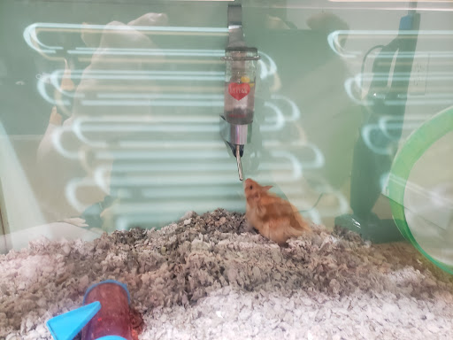 Pet Supply Store «Petco Animal Supplies», reviews and photos, 6885 Southland Dr, Middleburg Heights, OH 44130, USA