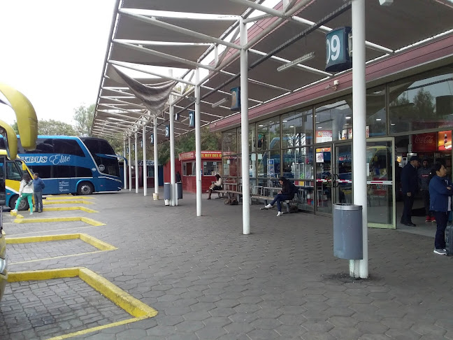 Terminal de Buses Ovalle - Servicio de transporte