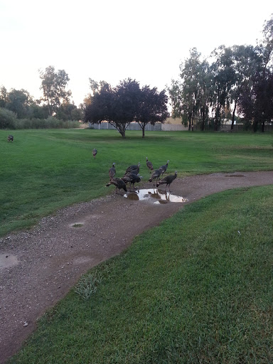 Golf Course «Coyote Run Golf Course», reviews and photos, 17440 Warren Shingle Rd, Beale AFB, CA 95903, USA