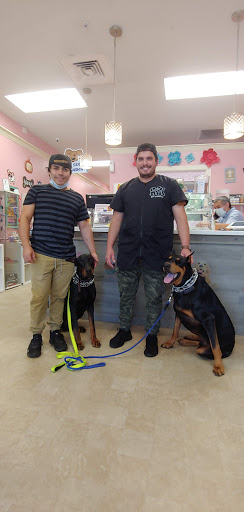 Pet Groomer «Furry Tails Pet Grooming», reviews and photos, 865 Cypress Pkwy, Poinciana, FL 34759, USA