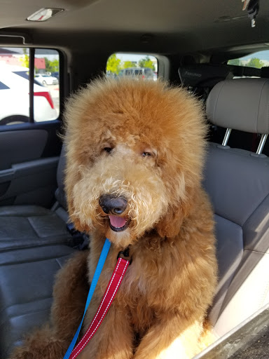 Pet Supply Store «Petco Animal Supplies», reviews and photos, 3194 FM407, Highland Village, TX 75077, USA