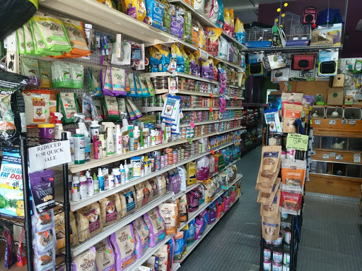 Pet Supply Store «Pet NV», reviews and photos, 71 Central Ave, Brooklyn, NY 11206, USA