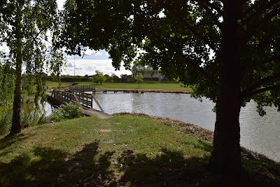 Etang des champs bretons à Jouy-le-Potier