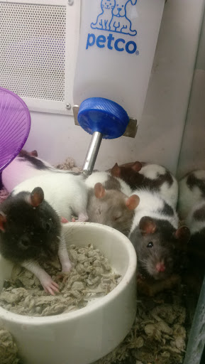 Pet Supply Store «Petco Animal Supplies», reviews and photos, 6137 Mid Rivers Mall Dr, St Charles, MO 63304, USA